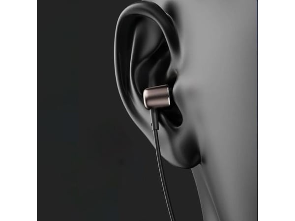 Dudao X1PROT in-ear hodetelefoner med kabel USB-C 1,2 m - svarte