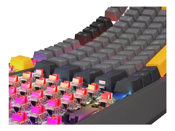 Genesis Thor 230 TKL - Tastatur - 80% - TKL - bakgrunnsbelyst - USB - QWERTY - USA - tastsvitsj: Outemu Red - anchor gray negative