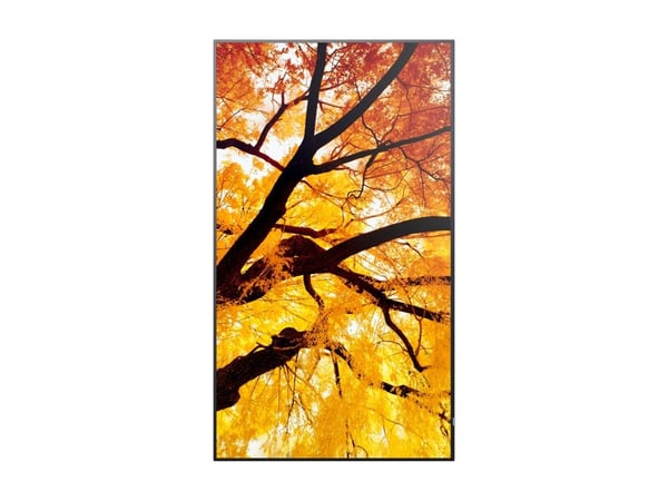 Sharp MultiSync PN-M502 - 50" Diagonal klass (49.5" visbar) - PN-M Series LED-bakgrundsbelyst LCD-skärm - digital skyltning - 4K UHD (2160p) 3840 x...