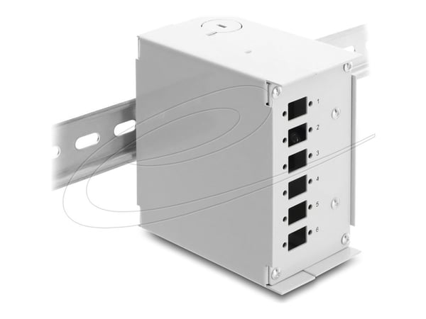 Delock - Fiber optisk patchpanel (tom) - kan monteras på DIN-skena - grå - 6 portar