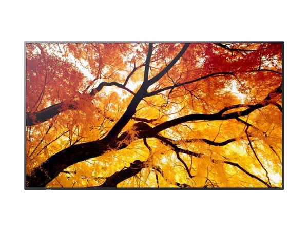 Sharp MultiSync PN-M502 - 50" Diagonal klass (49.5" visbar) - PN-M Series LED-bakgrundsbelyst LCD-skärm - digital skyltning - 4K UHD (2160p) 3840 x...