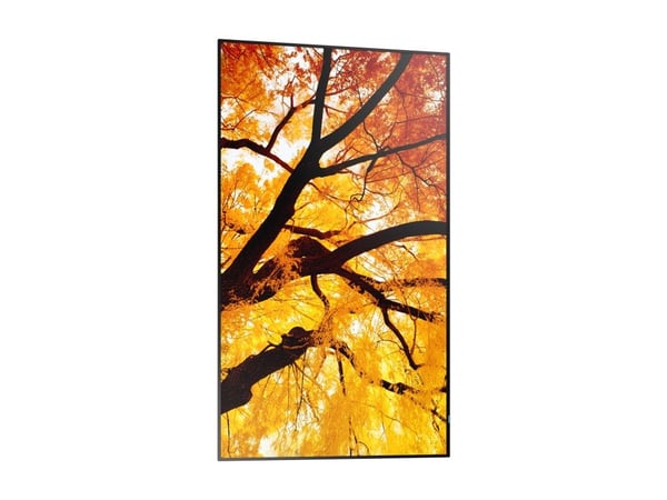 Sharp MultiSync PN-M502 - 50" Diagonal klass (49.5" visbar) - PN-M Series LED-bakgrundsbelyst LCD-skärm - digital skyltning - 4K UHD (2160p) 3840 x...