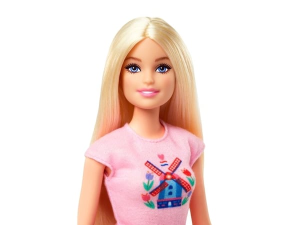 Barbie Pink Passport Nederland-dukkesett med sykkel, klær og reisetilbehør, Motedukke, Hunkjønn, 3 år, Jente, 330 mm, 500 g