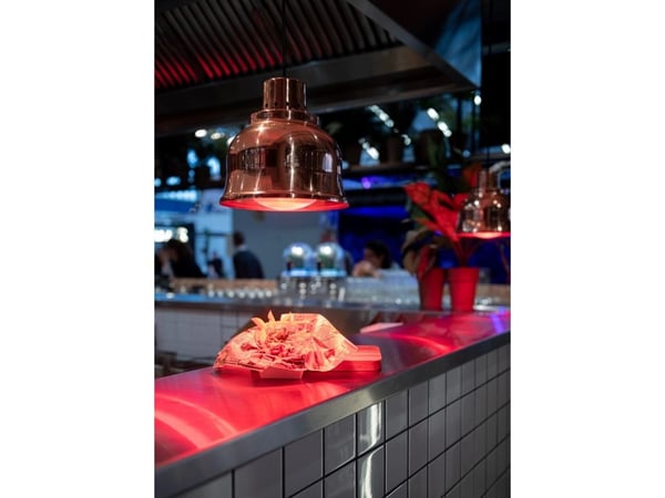Philips InfraRed Industrial Heat - Infrarødt glødelampesøkelys - form: BR125 - E27 - 250 W - rødt lys - rød