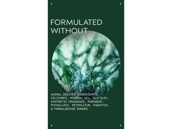 Aveda Botanical Kinetics Exfoliant - Dame - 150 ml