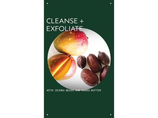 Aveda Botanical Kinetics Exfoliating Creme Cleanser 150 ml