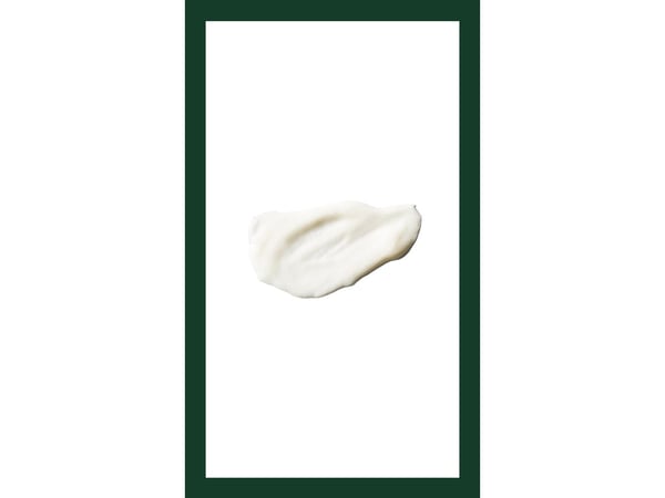 Aveda Botanical Kinetics Exfoliating Creme Cleanser 150 ml