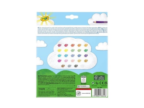 Crayola fargeblyanter 24 stk