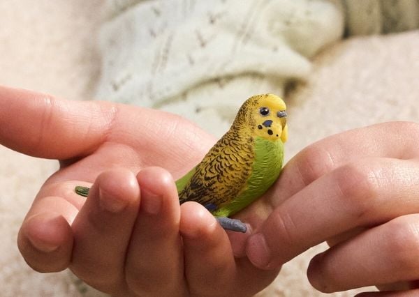 schleich 14939, 3 vuosi/vuosia, Monivärinen
