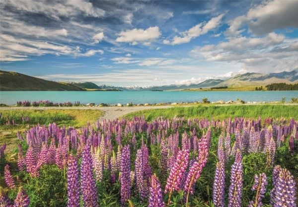 Clementoni Puslespil HQC Lupins at Lake Tekapo, 1500 brikker