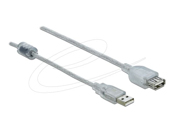 Delock - USB-forlengelseskabel - USB (hunn) til USB (hann) - USB 2.0 - 1 m - gjennomsiktig
