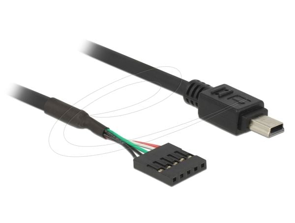 Delock USB 2.0 Pin Header - Intern-til-ekstern USB-adapter - mini-USB type B (hann) til 5-pins USB 2.0-hode (hunn) - 30 cm - svart