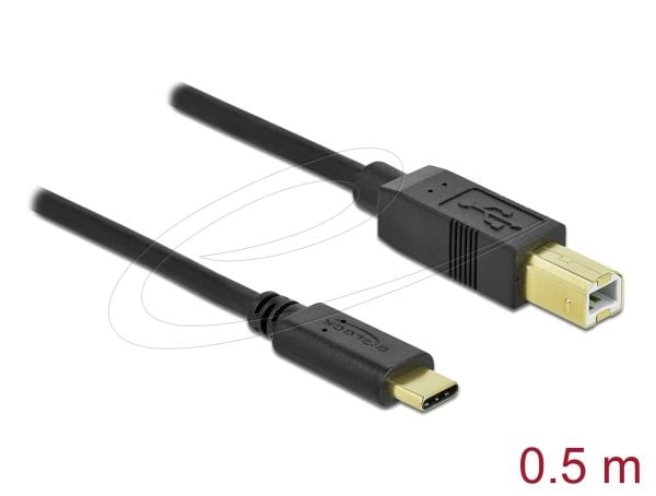 Delock - USB-kaapeli - USB-C (han) til USB Type B (han) - USB 2.0 - 3 A - 50 cm - lajiteltu
