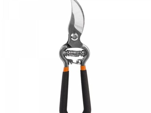 Bradas KT-RG1009
