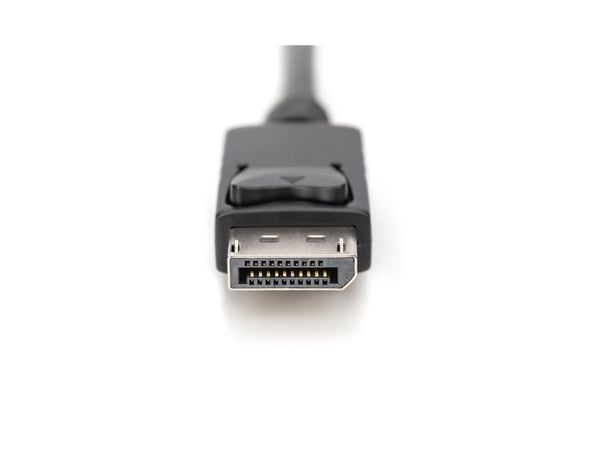 DIGITUS - Adapterkabel - DisplayPort hann til HDMI, USB (kun strøm) hann - 2 m - 4K 30Hz støtte