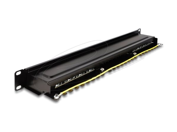 Delock - Patch-panel - rackmontering - CAT 6a - RJ-45 X 16, LSA X 16 - svart - 1U - 19"