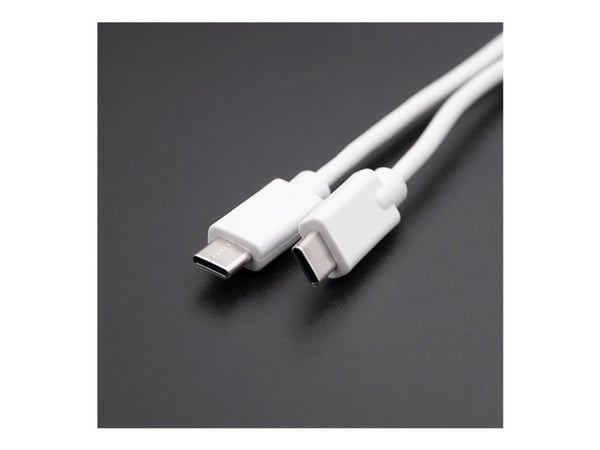 Qoltec - USB-kabel - USB-C (hane) till USB-C (hane) - USB 2.0 - 1 A - 1.4 m - vit