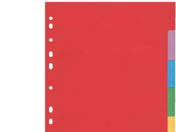 Esselte Esselte blankdeler A4 (blanding) 6 160g (100200)