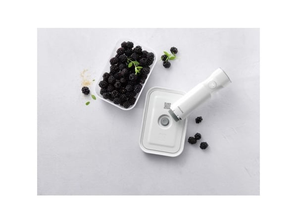 ZWILLING FRESH & SAVE, Lounasrasia, Aikuinen, Harmaa, Muovi, Silikoni, Yksivärinen, Suorakulmainen
