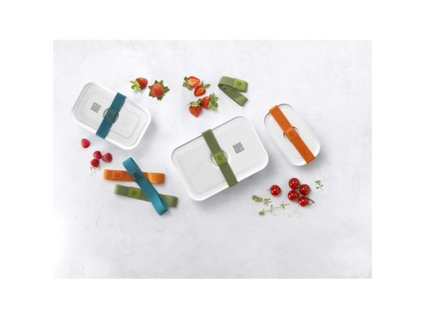 ZWILLING FRESH & SAVE, Lounasrasia, Aikuinen, Harmaa, Muovi, Silikoni, Yksivärinen, Suorakulmainen