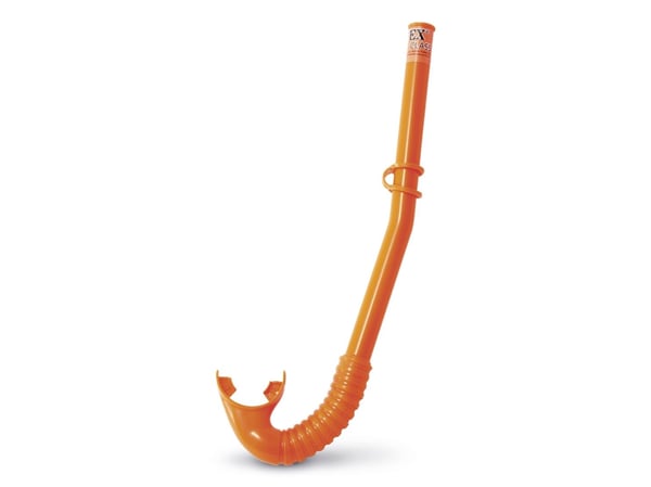 INTEX Shark Fun Set