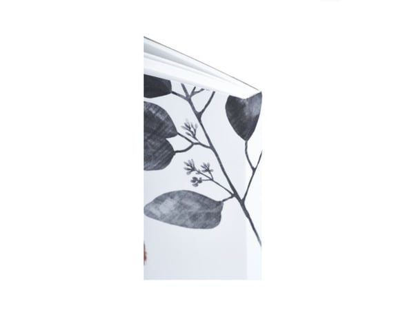 Ritblock OXFART GLU A4 40S 160G