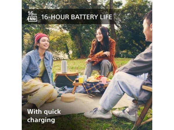 Sony SRS-XE200, 20 - 20000 Hz, 4 ohm (O), kaapeli &amp; trådløs, SSP, A2DP, HFP, AAC, HSP, AVRCP, SBC, LDAC, 30 m, USB Type-C, 30 m, USB Type-C