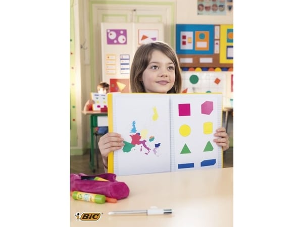 BIC ECOlutions, 30 styck