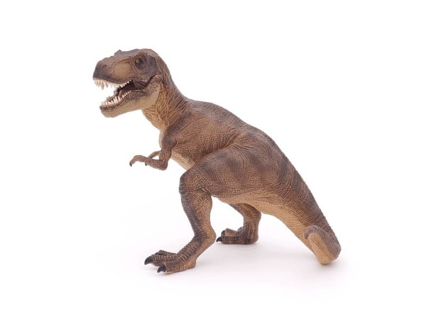 Papo 55001, 3 vuosi/vuosia, Dinosaurukset, Ruskea, PVC-muovi