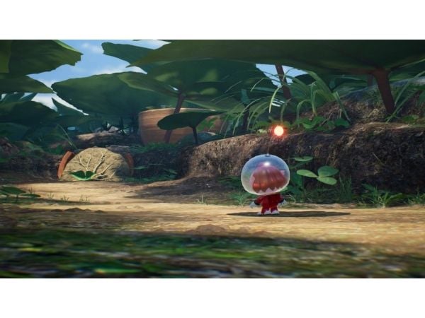 Nintendo Pikmin 4, Nintendo Switch, Flerspillermodus, RP (Rating Pending), Fysisk medium