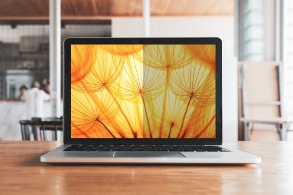 3M Bright Screen -Yksityisyyssuodatin 13.3 tuumaa Full Screen kannettavalle tietokoneelle, 16:9, BP133W9E, 33,8 cm (13.3"), 16:9, Kannettava tietok...