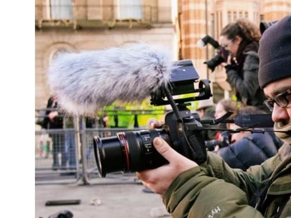 RØDE DeadCat, 105 mm, 208 mm, 31 mm, 22 g, 1 styck