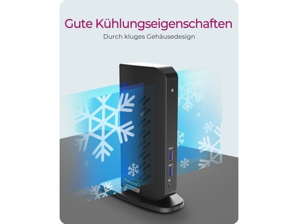 Dockningsstation/replikator Icy Box USB-C (IB-DK2252AC)
