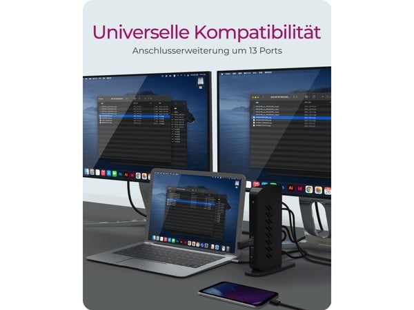 Dockningsstation/replikator Icy Box USB-C (IB-DK2252AC)