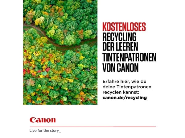 Canon PG-540L - 11 ml - L-størrelse - svart - original - blekkpatron - for PIXMA MG3250, MG3550, MG3650, MG4250, MX395, MX455, MX475, MX525, MX535,...