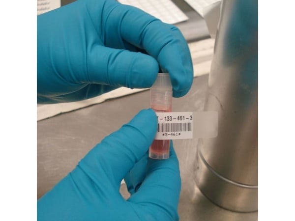 Brady M21-500-461, Vit, Polyester, Termal transfer, Akryl, Permanent, Matt