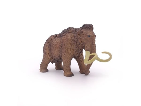 Papo 55017, 3 År, Dinosaurier, Brun, PVC
