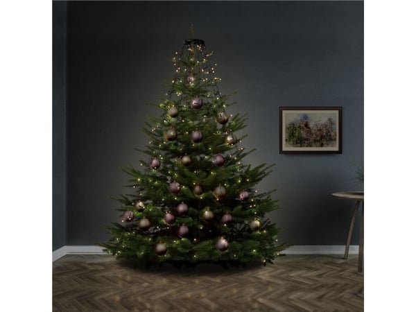 Goobay 60386, Fairy lights, Musta, Vihreä, Kupari, Muovi, IP44, II, 6 h