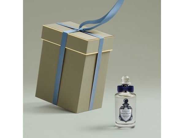 Penhaligon's Endymion Eau de Cologne 100 ml (mies)
