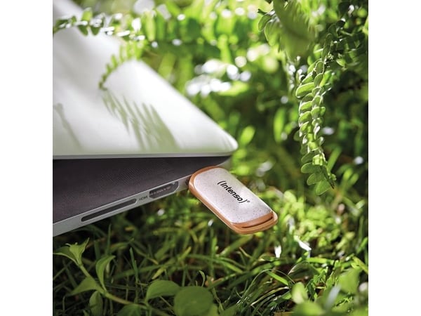 Intenso Green Line - USB-flashstasjon - 64 GB - USB 3.2 Gen 1 - beige/brun