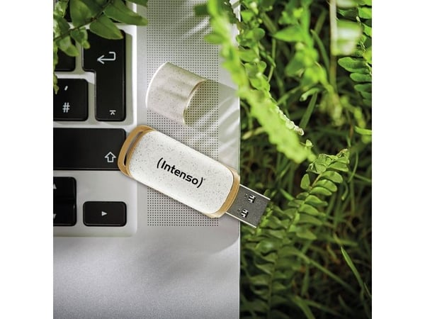 Intenso Green Line - USB-flashstasjon - 64 GB - USB 3.2 Gen 1 - beige/brun