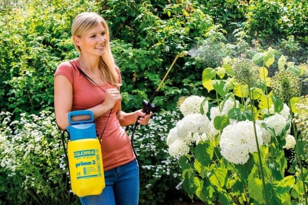 GLORIA prima 3, Håndbasert sprøytepistol, 5 l, 3 l, Blå, Gult, Plast, Messing