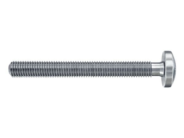 Tuščiavidurių konstrukcijų kaištis DuoHM 5x55 S PH TX, Fischer, 4 vnt.