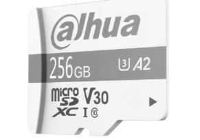 Dahua Technology P100, 256 GB, MicroSD, Klasse 10, UHS-I, 100 MB/s, 80 MB/s