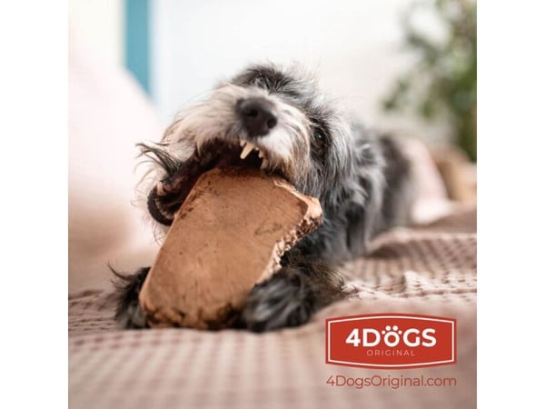 4DOGS KORZEN_M, Hund, Snacksleksak, Brun, Tuggande, Polen, 350 g