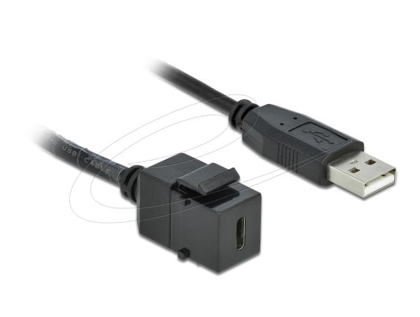 Delock - Modulär insättning - USB Typ C - svart