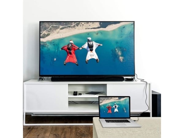 TECHly - Adapterkabel - HDMI hann til DVI-D hann - 4.5 m