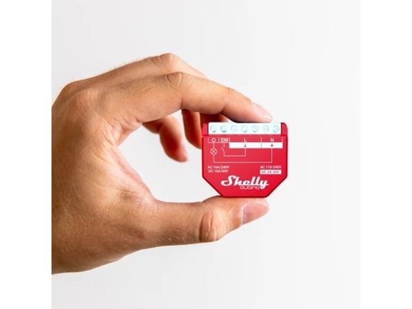 Shelly Qubino Wave 1PM