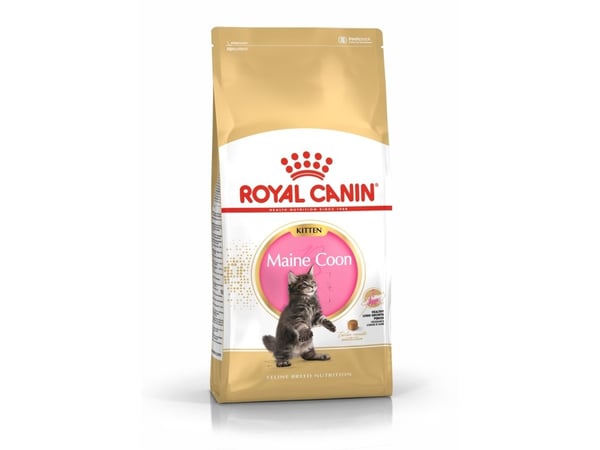 Royal Canin Maine Coon Kitten, Kattunge, Maine coon, Fjærfe, Ris, 4 kg, Antioksidanter medfølger