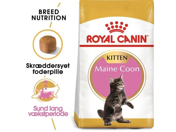 Royal Canin Maine Coon Kitten, Kattunge, Maine coon, Fjærfe, Ris, 4 kg, Antioksidanter medfølger